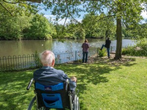 John watching the canada geese, Bruton park, 2015