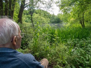 John loved the Parkridge Nature Reserve in Solihull, 5 acres with a beautiful lake, paths and coffee shop, 2015. http://www.warwickshirewildlifetrust.org.uk/reserves/parkridge-brueton-park